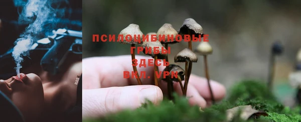 твердый Архангельск