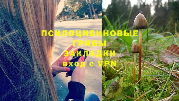 твердый Архангельск