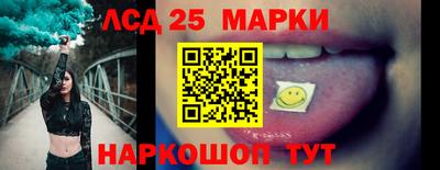 стаф Гай