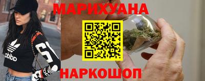 стаф Гай