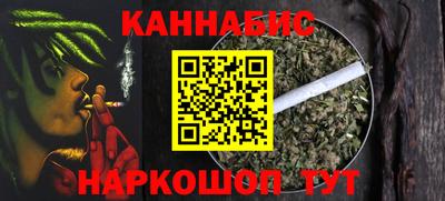 стаф Гай