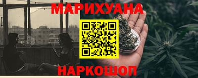 стаф Гай