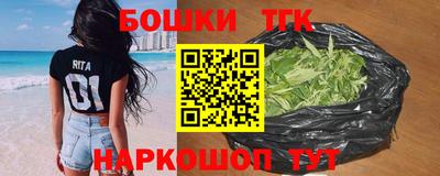 стаф Гай
