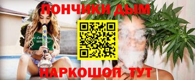 стаф Гай