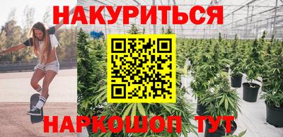 стаф Гай
