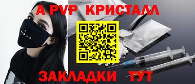 стаф Гай