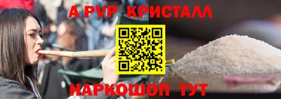 стаф Гай