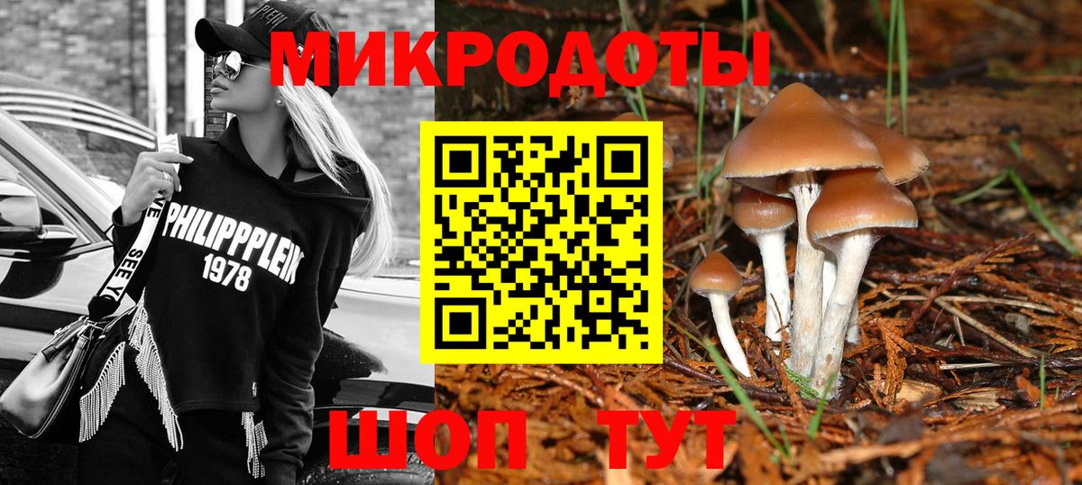 Псилоцибиновые грибы GOLDEN TEACHER  Вход с VPN  Алексеевка 