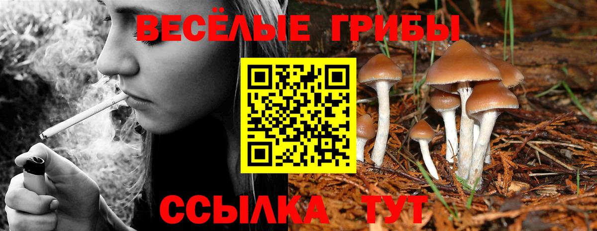 Псилоцибиновые грибы MAGIC MUSHROOMS  Алексеевка 