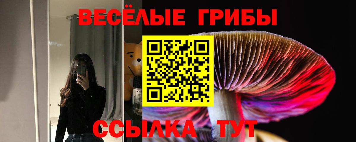 Галлюциногенные грибы мухоморы Алексеевка